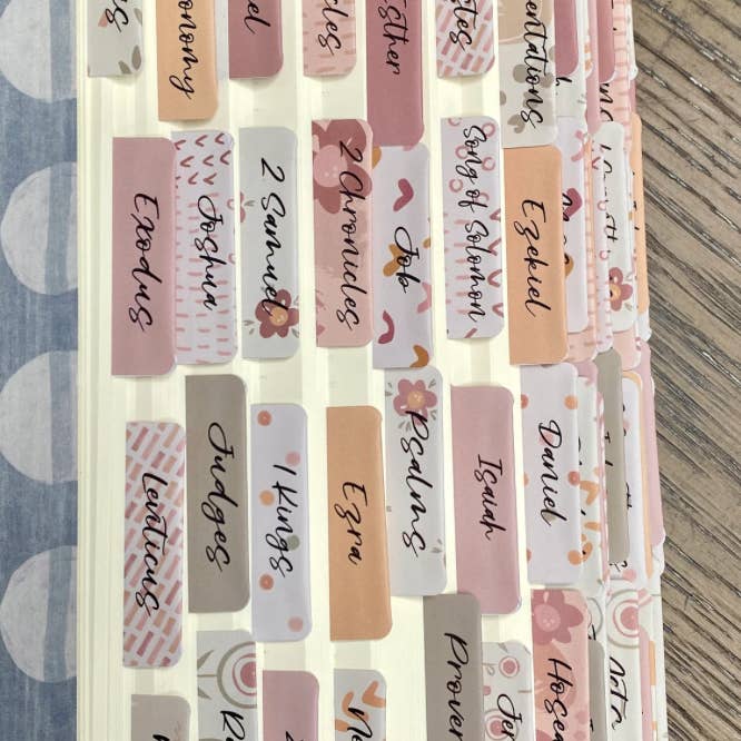 Chosen & Cherished - Wholesale Book - Adult - Cute Bible Tabs | Bible Index Tabs