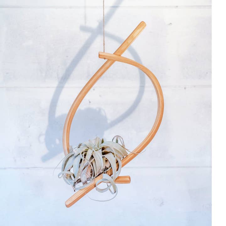 Horsemen Co. - Wholesale Hanging Planter - Sail Wood Plant Hanger, Hanging Planter Indoor, Indoor Hanging Planter, Air Plant Holder0