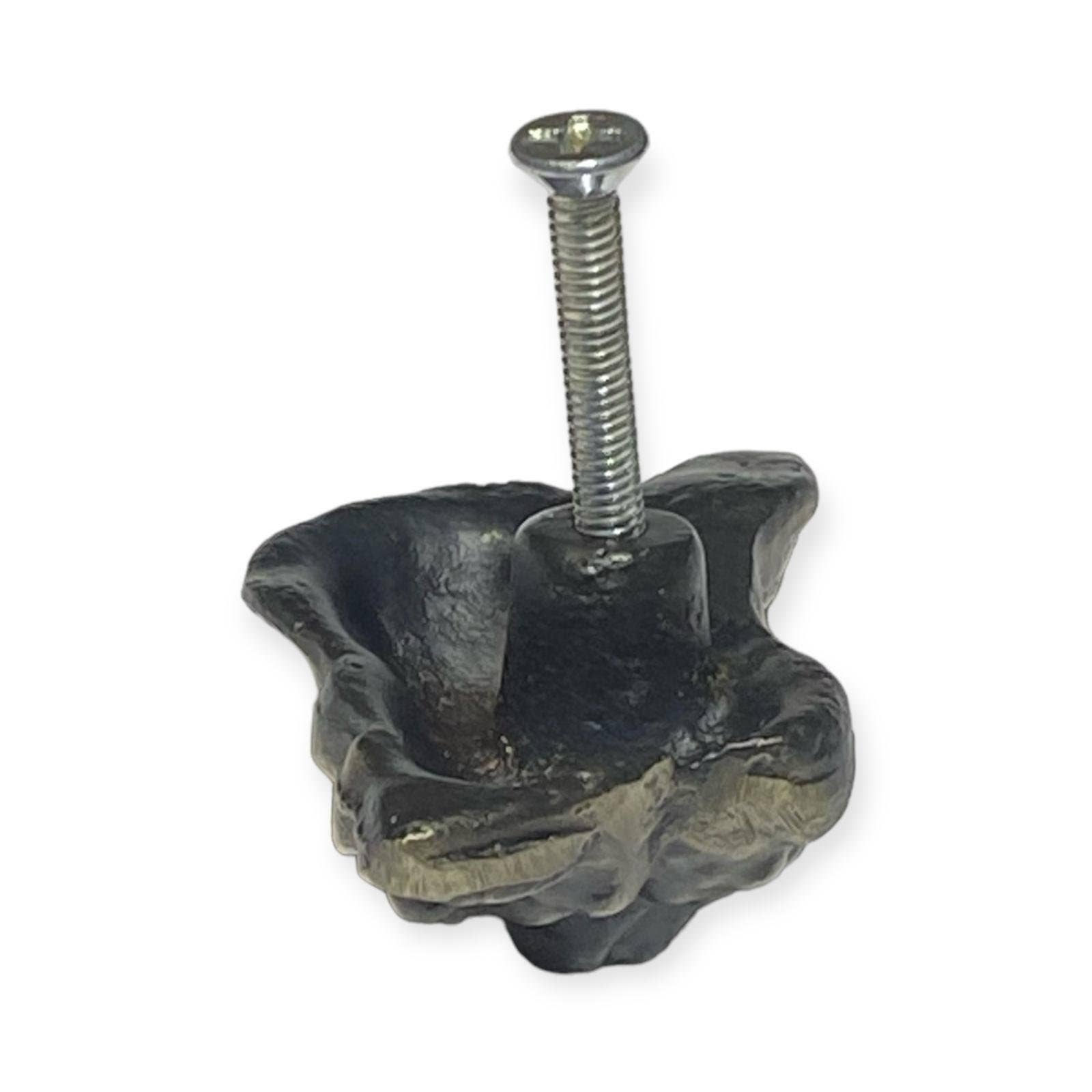 Nautical n Tropical - Wholesale Knob/pull - Brass Shell Knobs1