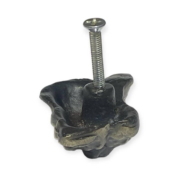 Nautical n Tropical - Wholesale Knob/pull - Brass Shell Knobs1