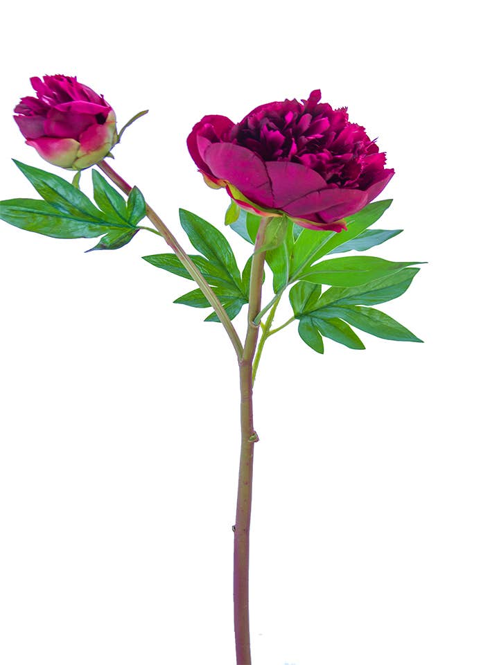 American Best - Vente Fleurs artificielles - PIVOINE À VOLANTS FRESH TOUCH 26"6