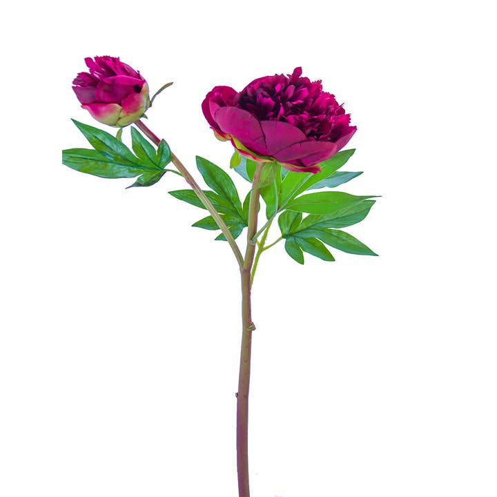 American Best - Vente Fleurs artificielles - PIVOINE À VOLANTS FRESH TOUCH 26"6