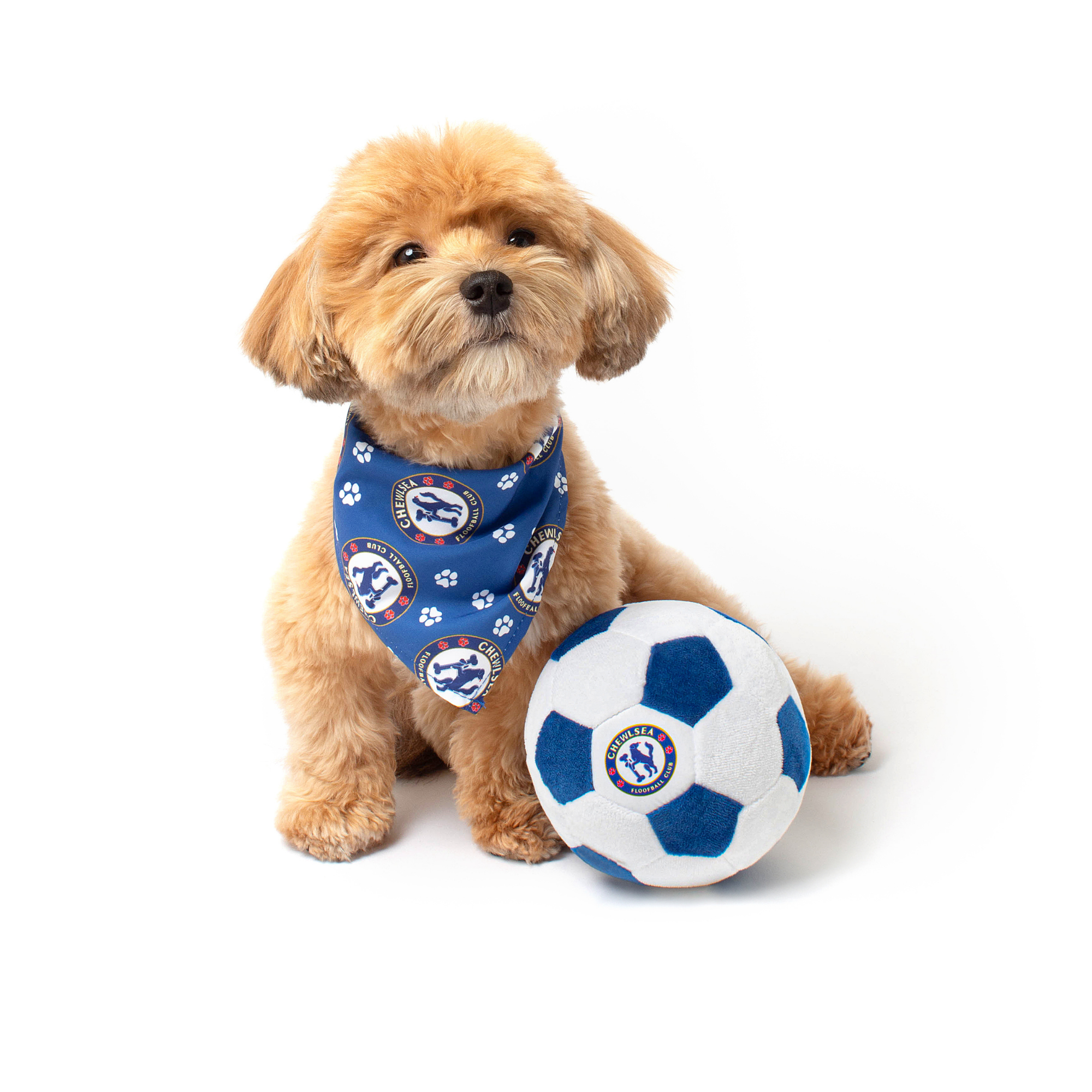 Floofball – Großhandel Plüschtier – Hund – Chewlsea Plüsch-Fußball-Hundespielzeug1