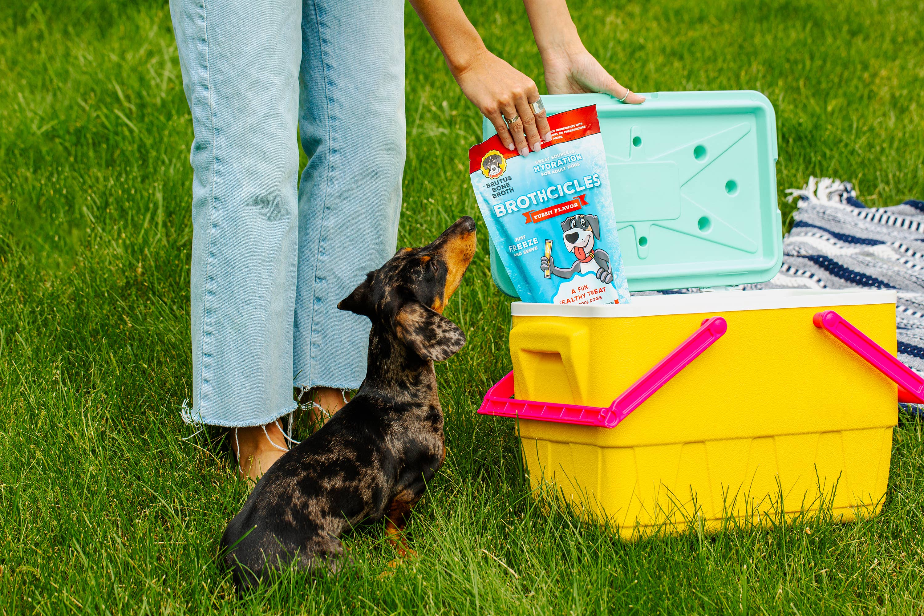 Brutus Broth - Wholesale Pet Treats - Dog - Brutus Broth Brothcicles 6-Pack Pouch7