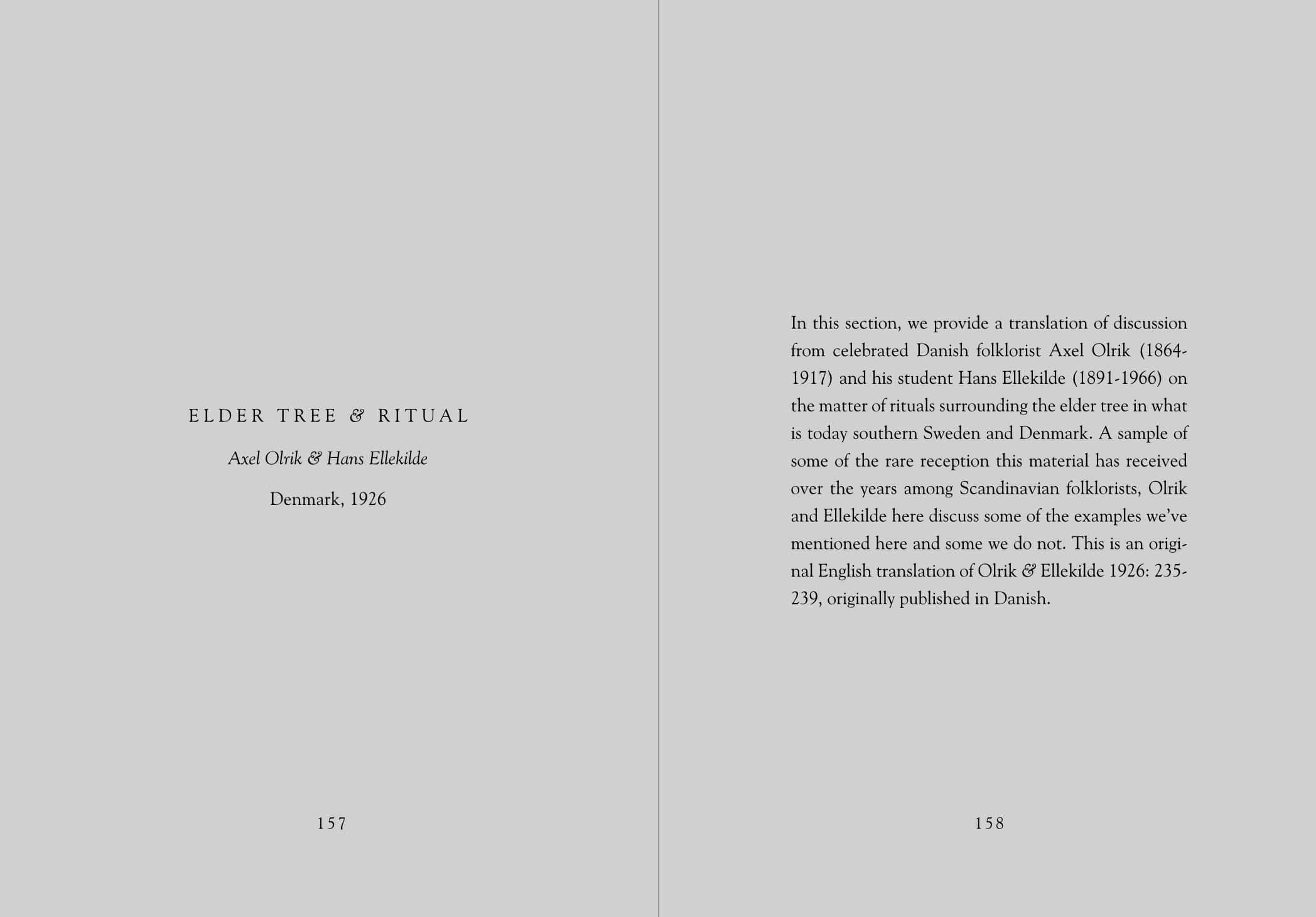 Hyldyr - Wholesale Nature & Outdoors - Lady Elder Tree: Northern Animism and Witchcraft11