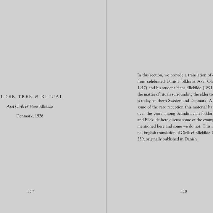 Hyldyr - Wholesale Nature & Outdoors - Lady Elder Tree: Northern Animism and Witchcraft11