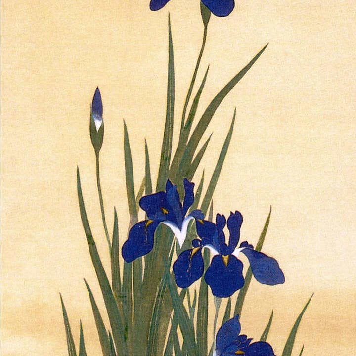 PEGAR 10,5X21 CARTÕES DUPLOS NC4878 por atacado de Phenicia