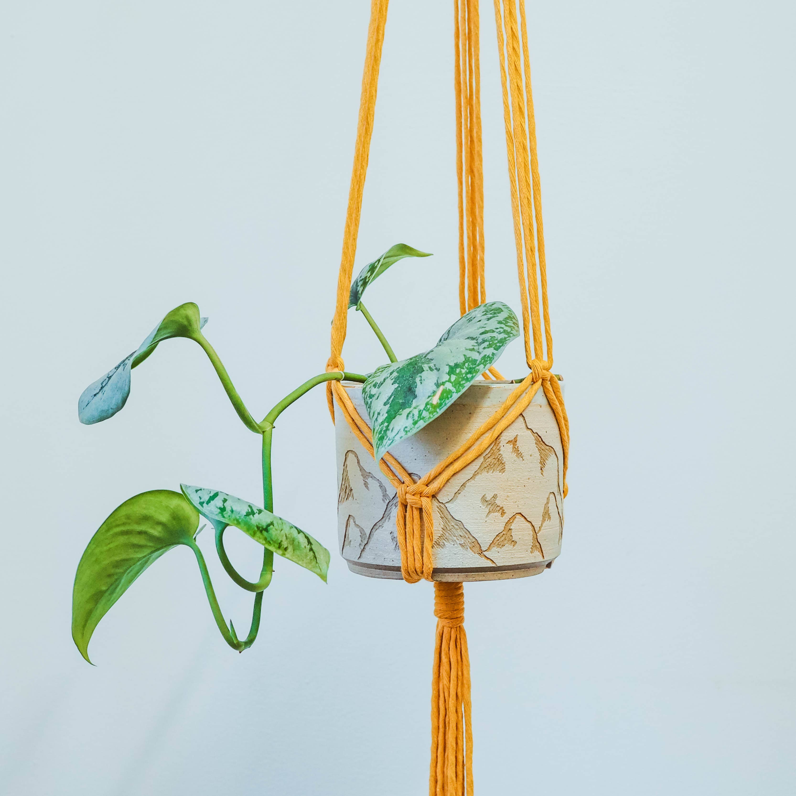 Studio Dawn - Wholesale DIY Craft Kit - DIY Macrame Plant Hanger Kit1