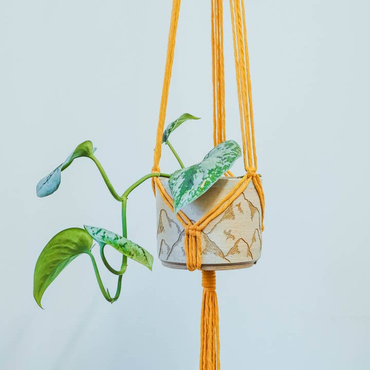Studio Dawn - Wholesale DIY Craft Kit - DIY Macrame Plant Hanger Kit1