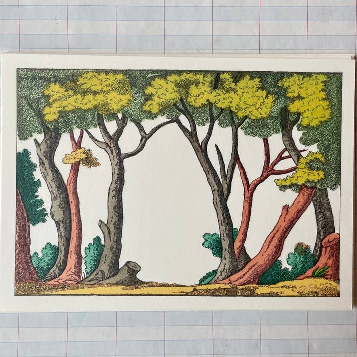 Parcel - Wholesale Stationery/Notecard Set - Through The Trees0