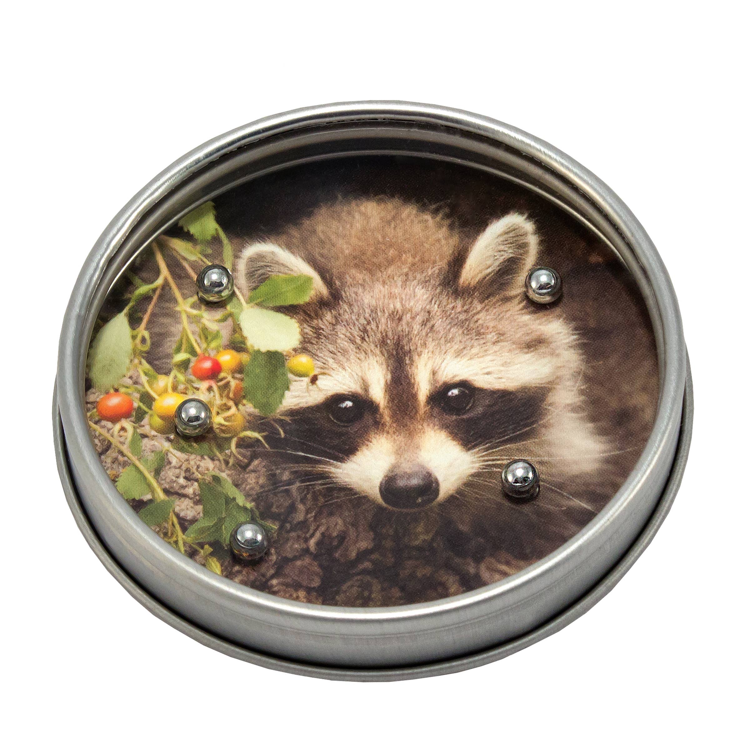 Channel Craft - Wholesale Puzzle - Kids - BB Pocket Puzzle - Woodland Animals Series5