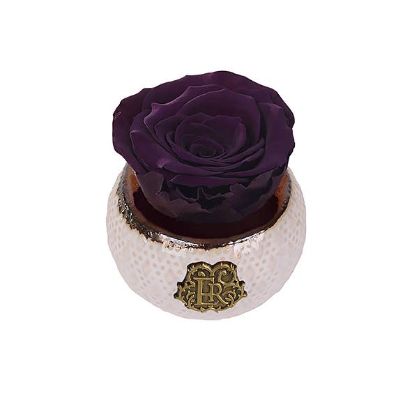 Eternal Roses® - Wholesale Artificial Flowers - Mini Soho Classic Eternal Luxury Rose29