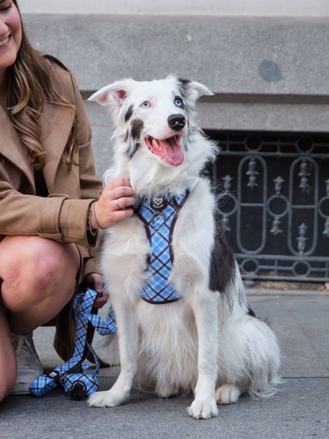 Dukier – Arnês – Cão por atacado – ARNÊS TRAIL PARA CÃO TARTAN BLUE MOCCA3