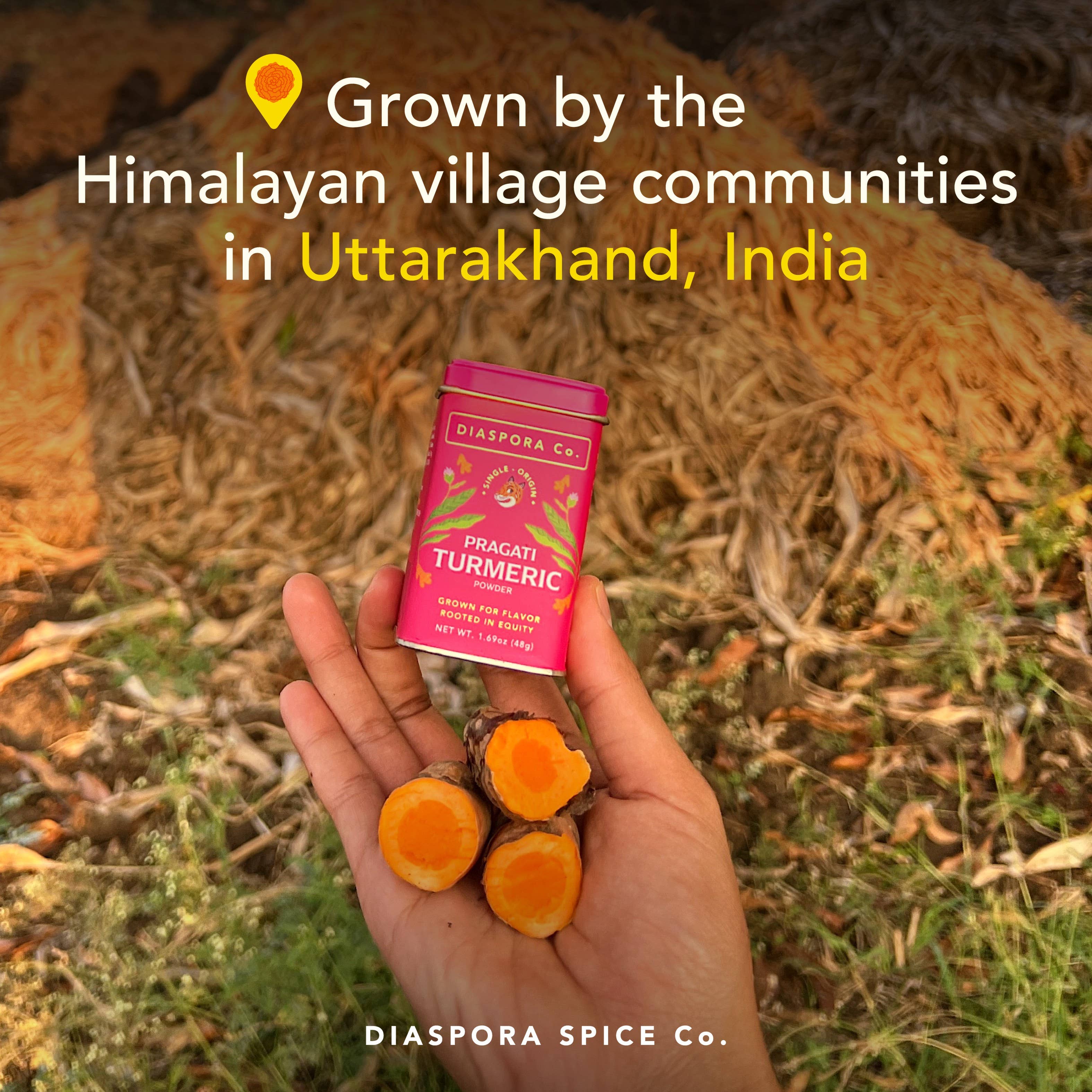 Diaspora Spice Co. - Wholesale Dried Spice - Pragati Turmeric (Powder) - Single-Origin Foodservice Bag1