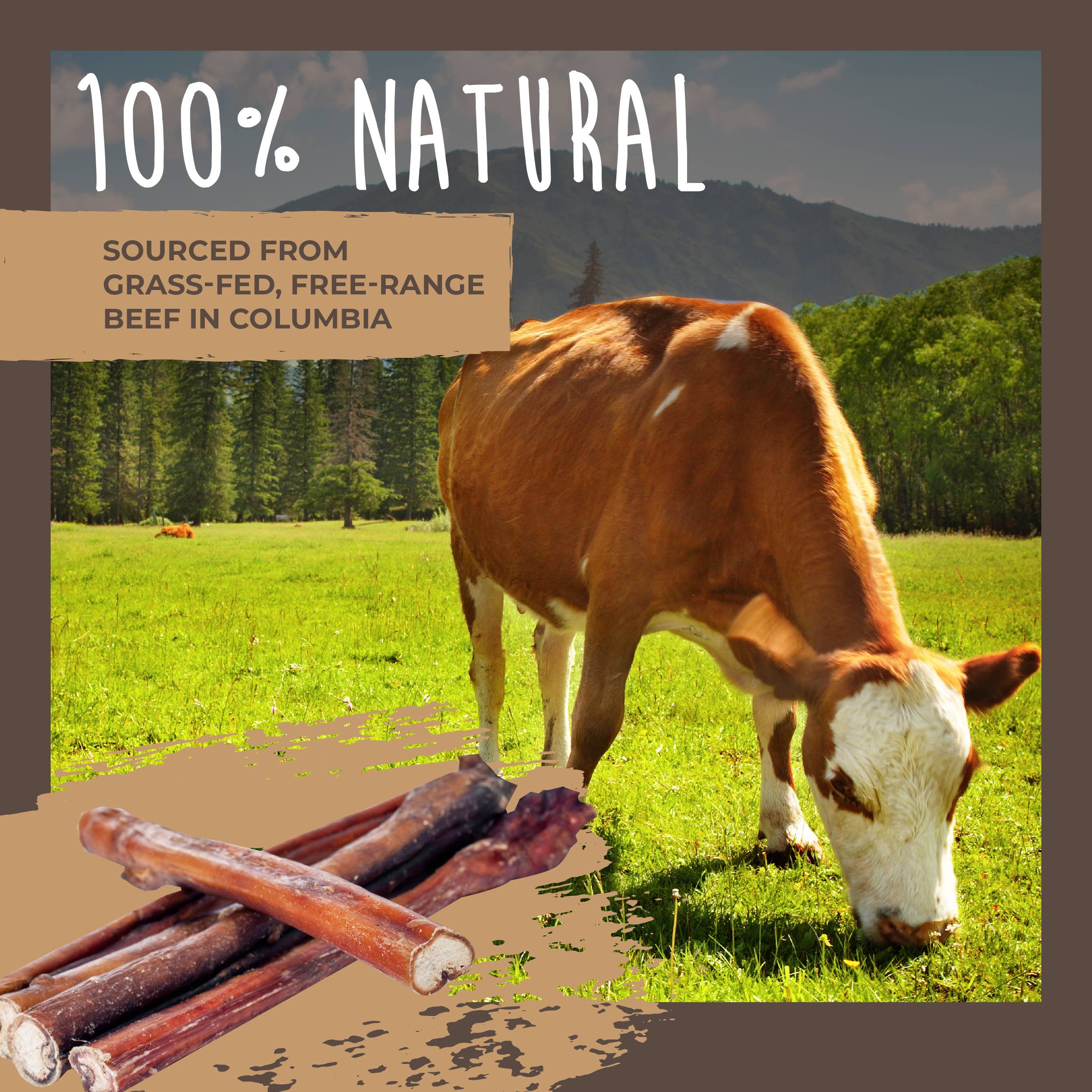 Mighty Paw - Venta al por mayor Chuches - Perros - Paquete variado de palos Naturals Bully5