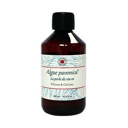 Algae Padina Pavonica 300ml pour la vente par Vecteur Energy