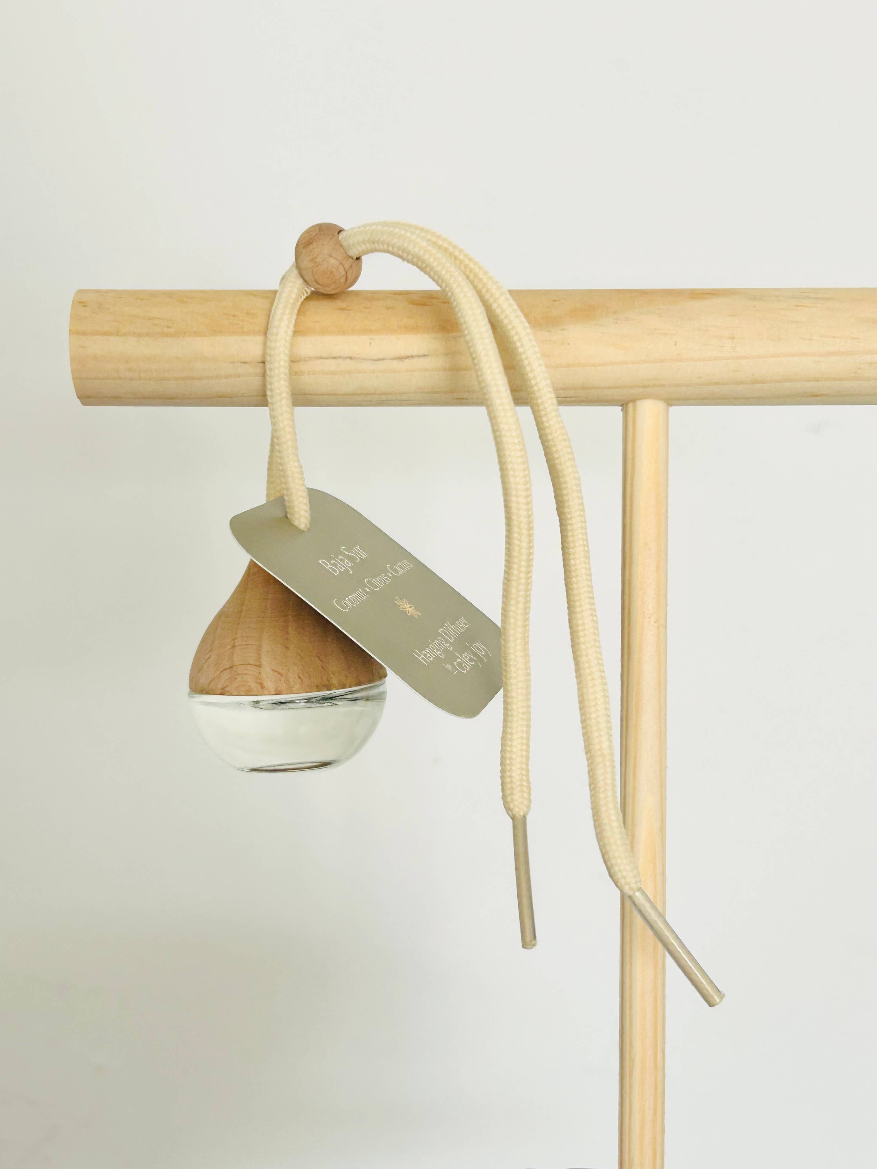 By Caley Joy - Wholesale Reed Diffuser - Hanging Car Diffusers | Baja Sur1