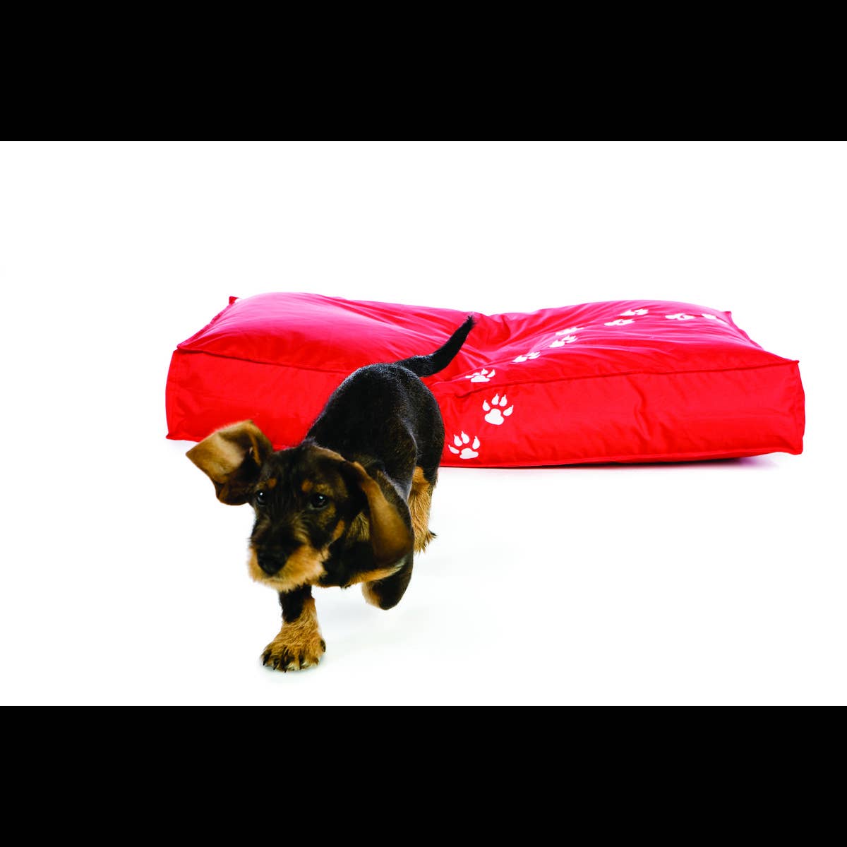 sitonit.be - Wholesale Pet Bed - Dog - Doggie Style9