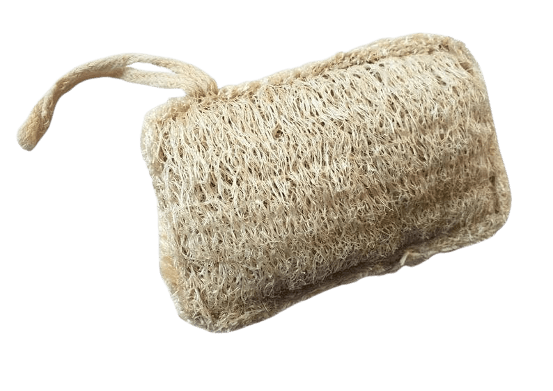TOA Waters - Wholesale Loofah - Natural Loofah Sponge3
