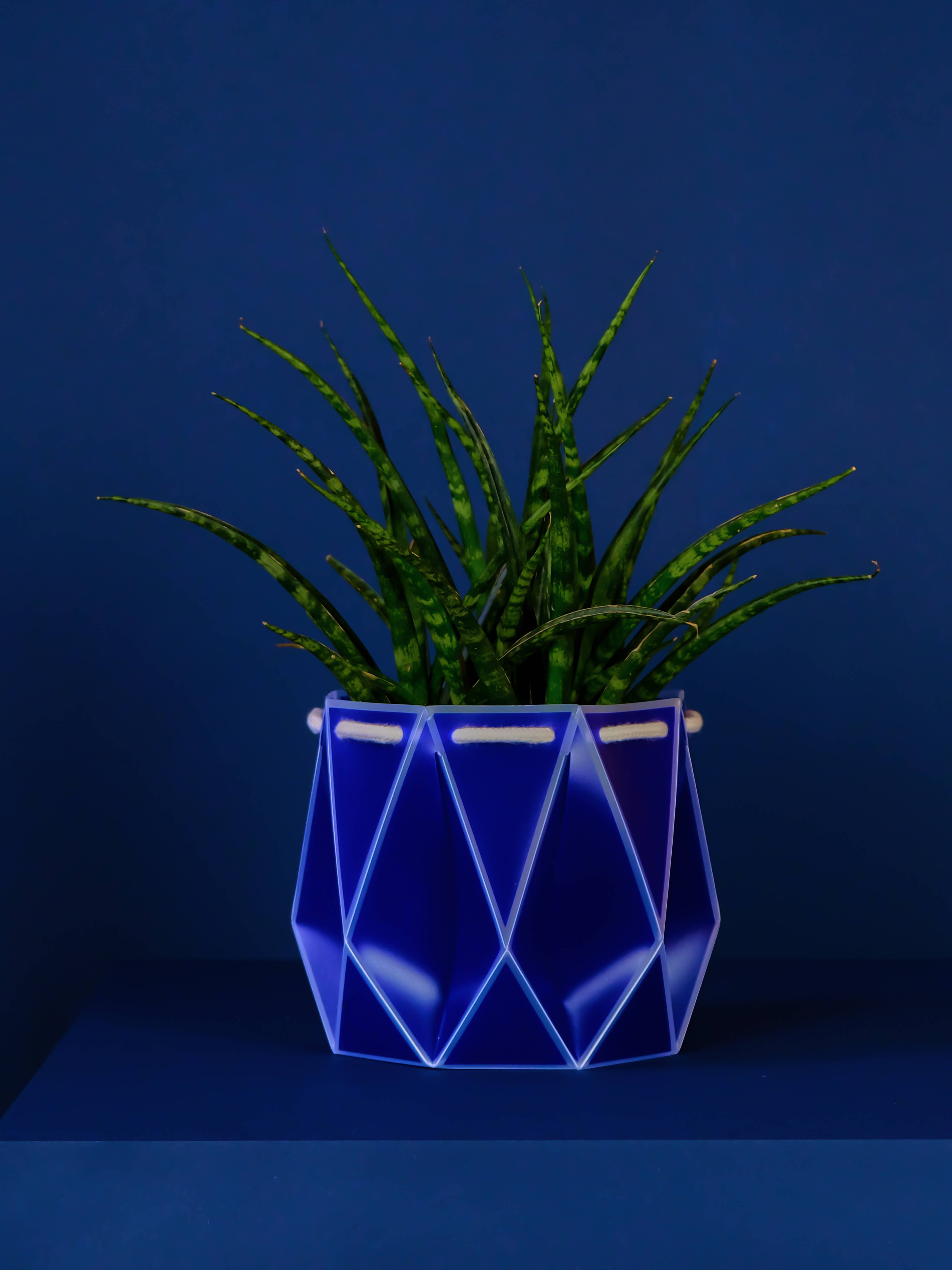 POTR – wholesale Plant pot – 18cm Self-watering POTR | Navy Blue4