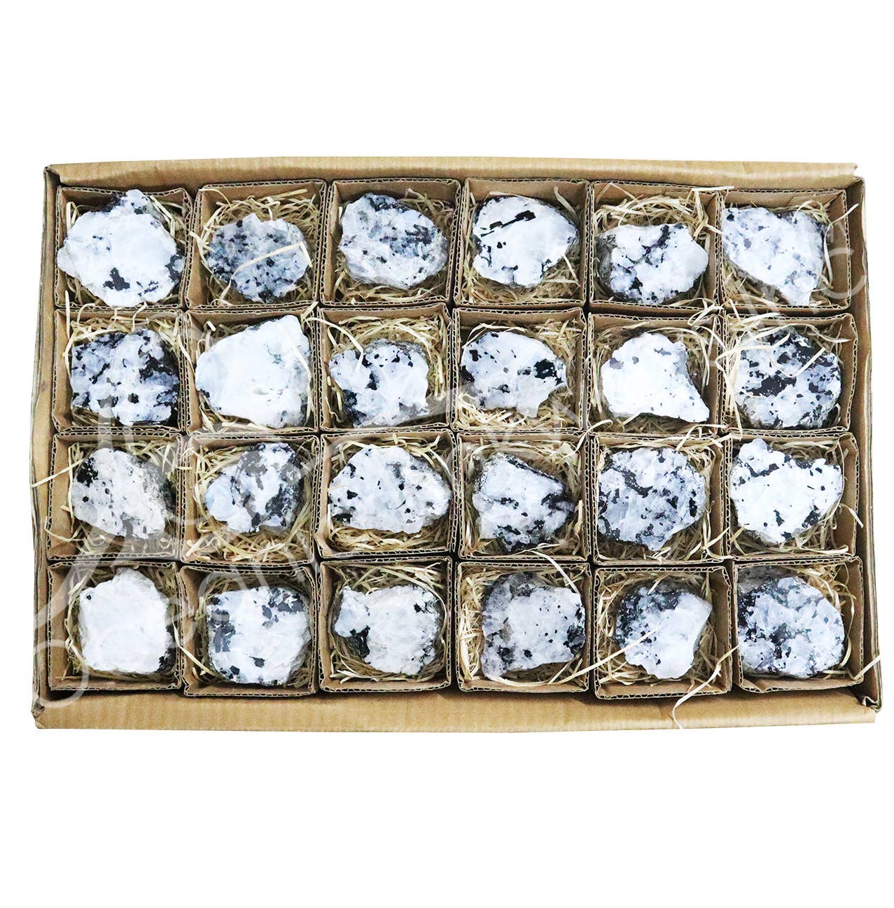 Oceanic Linkways Inc - Wholesale Spiritual Stone/Crystal - (FLAT)SLICE - MOONSTONE, RAINBOW ONE POLISHED SIDE 2-3"0