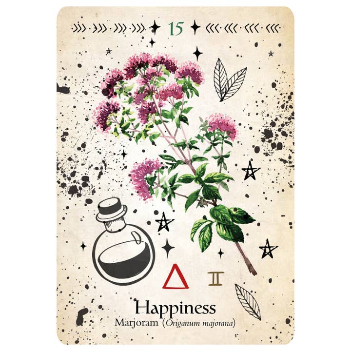 Cardshouse - Wholesale Tarot Cards - Green Witch Oracle Cards Rockpool5