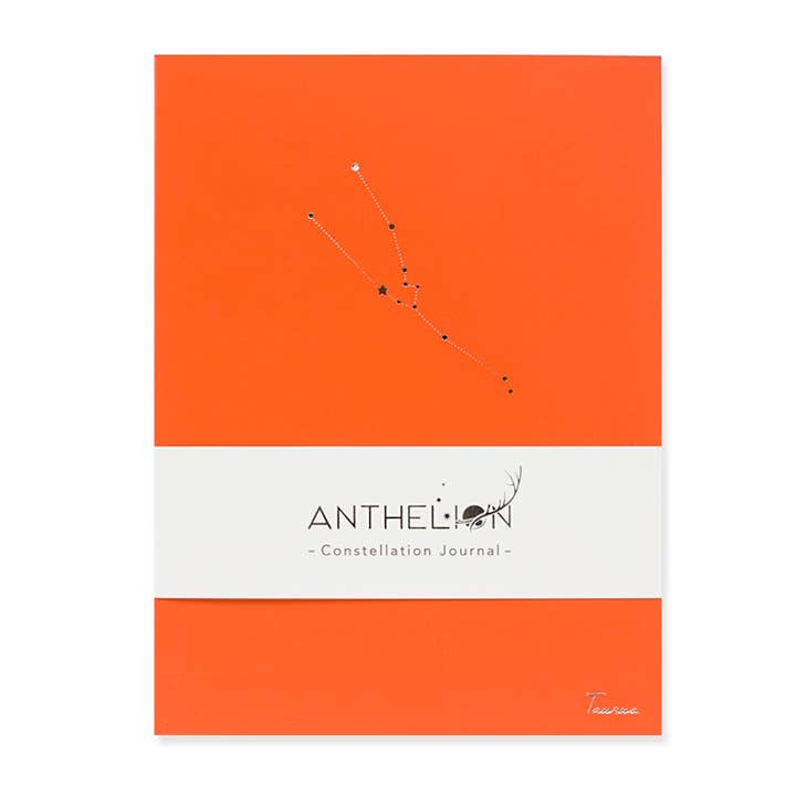 TAURUS HOROSCOPE JOURNAL PANTONE for wholesale by Hadron Epoch Design Studio