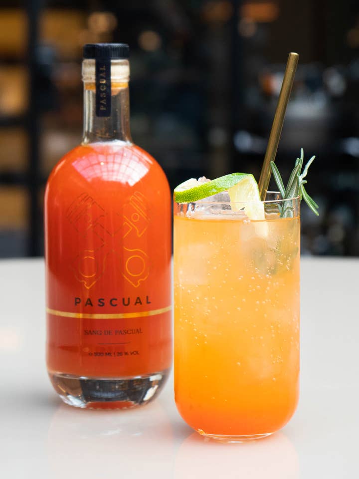 Ambachtelijke Bloedappelsienlikeur Sang De Pascual voor wholesale door Sang De Pascual