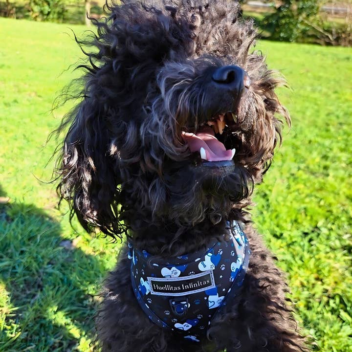 HUELLITAS INFINITAS - Wholesale Tuig voor huisdieren - Hond - Fantasy Hearts verstelbaar harnas9