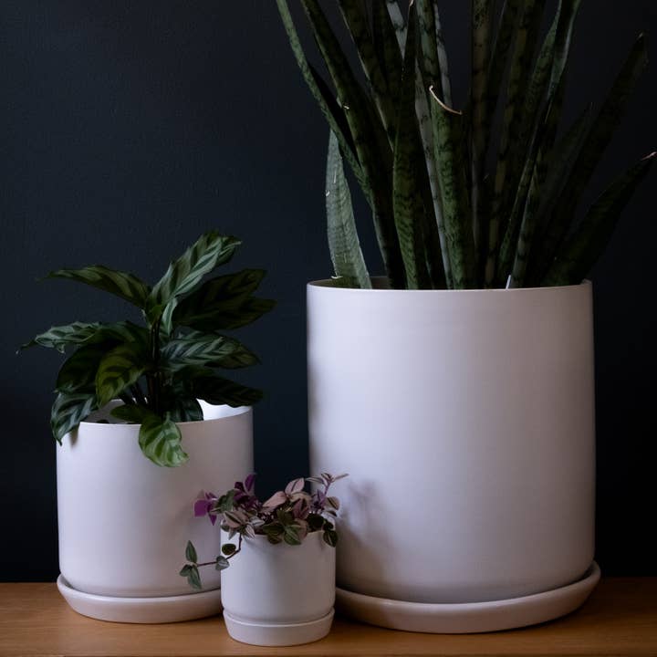 Potted - Wholesale Plant pot - Small Oslo Planter Ice White2