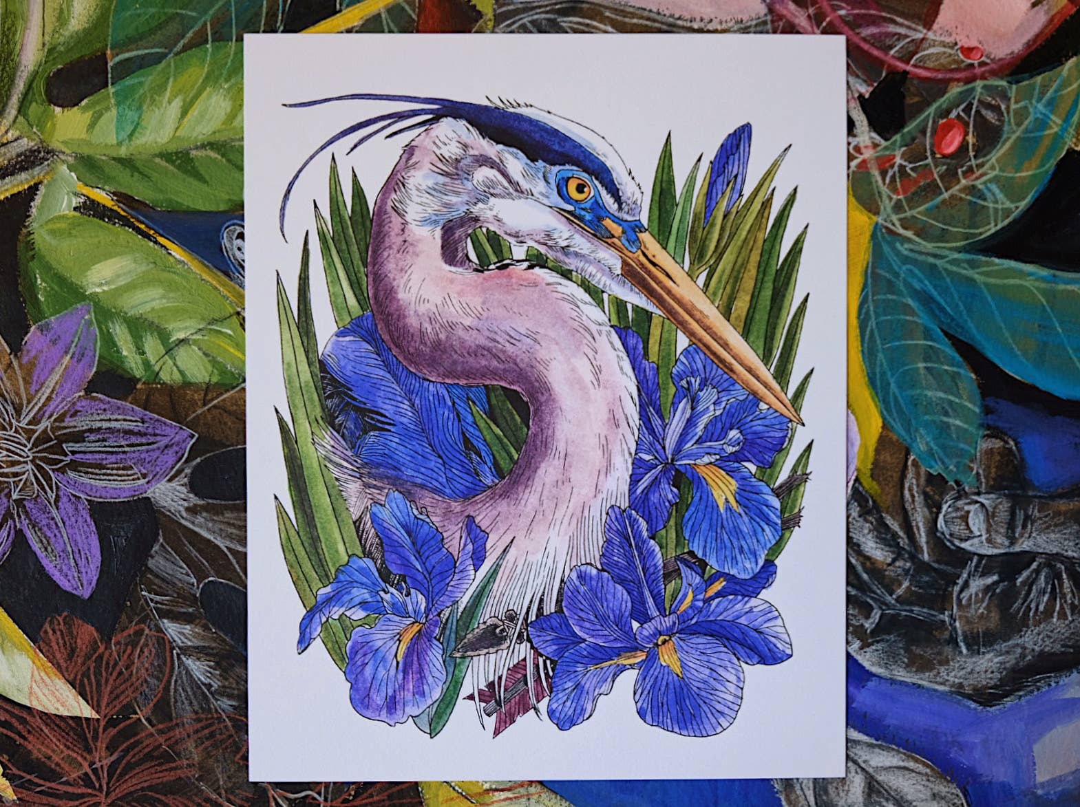 Mattea - Wholesale Art Print - 8 x 10  Great Blue Heron and Iris Art Print1