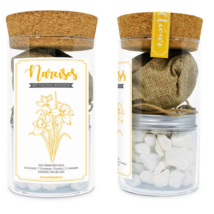 Garden Pocket - Wholesale Plant Seeds - UD-KIT CRYSTAL DAFFODILS4