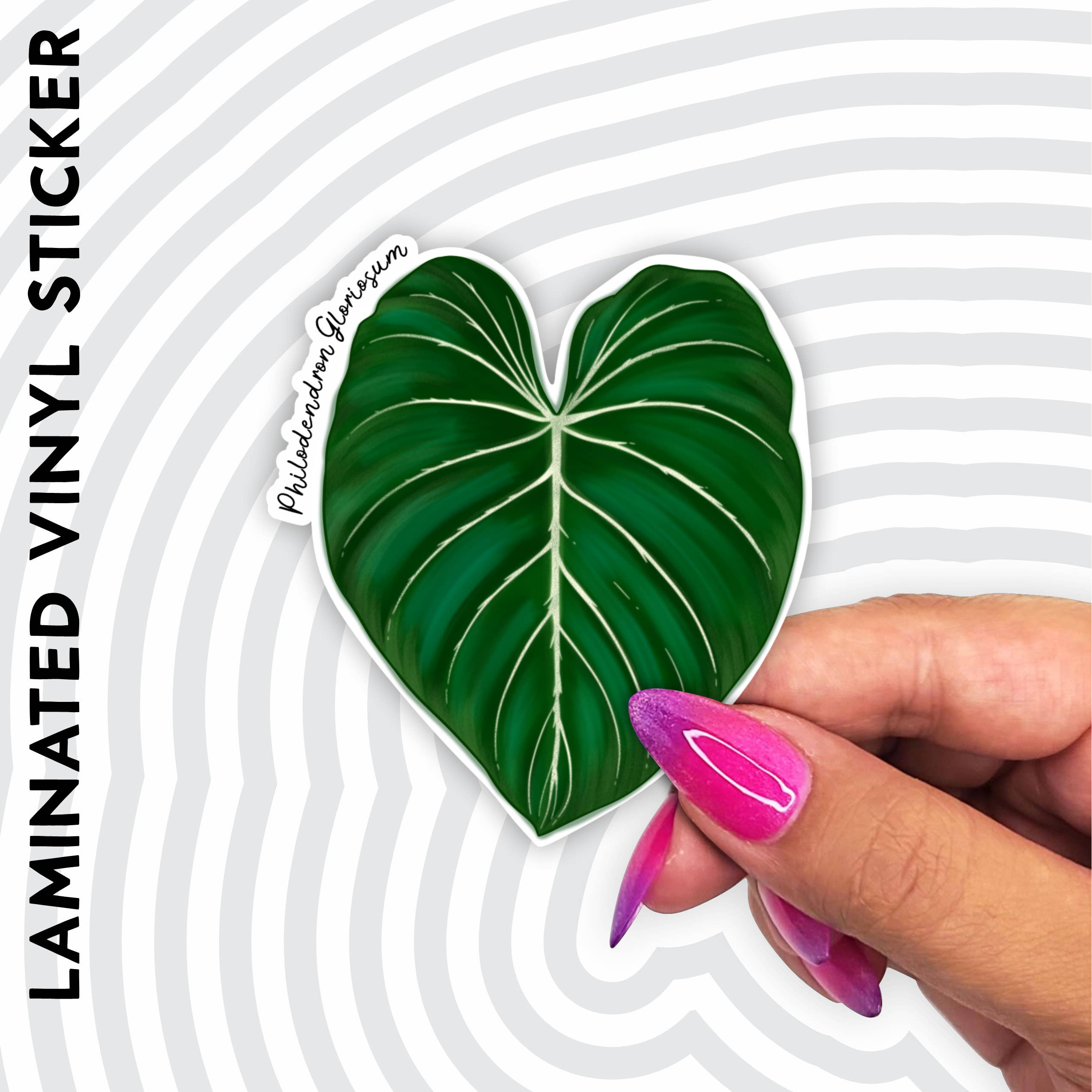 AK Project Unicorn - Wholesale Sticker - Philodendron Gloriosum 3" Plant Sticker