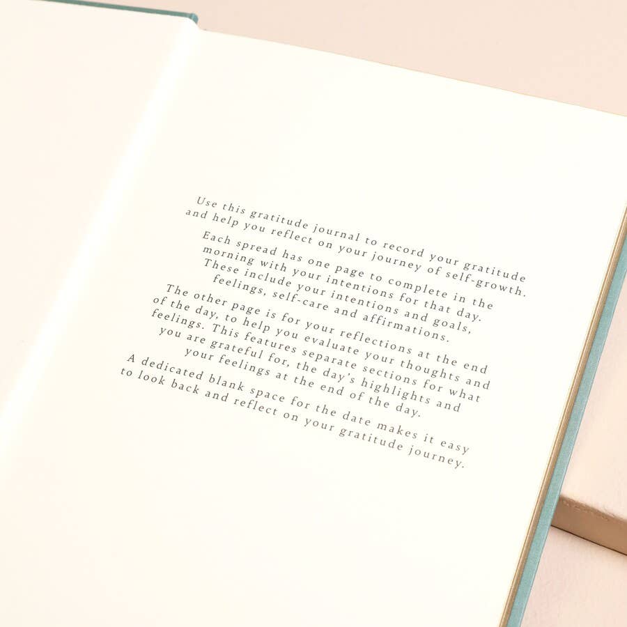 Lisa Angel - Wholesale Journal/Diary - Green Floral Daily Gratitude Journal4