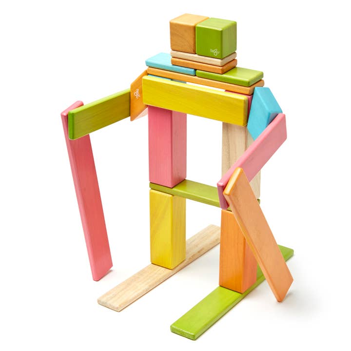 Tegu - Wholesale Building Set - Kids - 24 Piece Magnetic Wooden Block Set