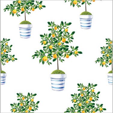 Papier cadeau en rouleau continu | Citronnier pour la vente par WH Hostess Social Stationery