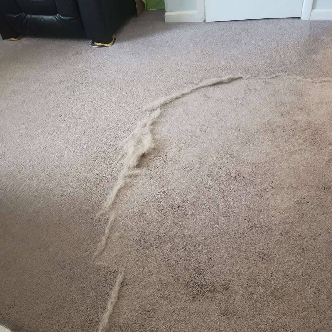 Uproot Clean - Wholesale Pet Grooming Tool - Dog - Uproot Cleaner Pro - Retail (6 Unit Case Pack)15