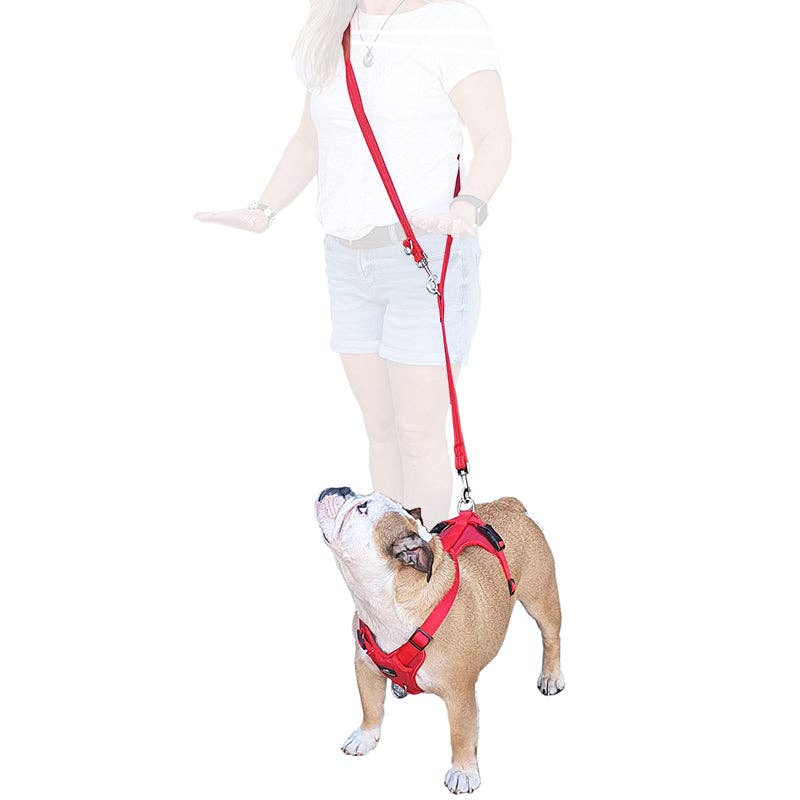 Miro & Makauri – wholesale Pet harness – Dog – Dog Training Harness - the Miro & Makauri 'Adventurer' Harness5
