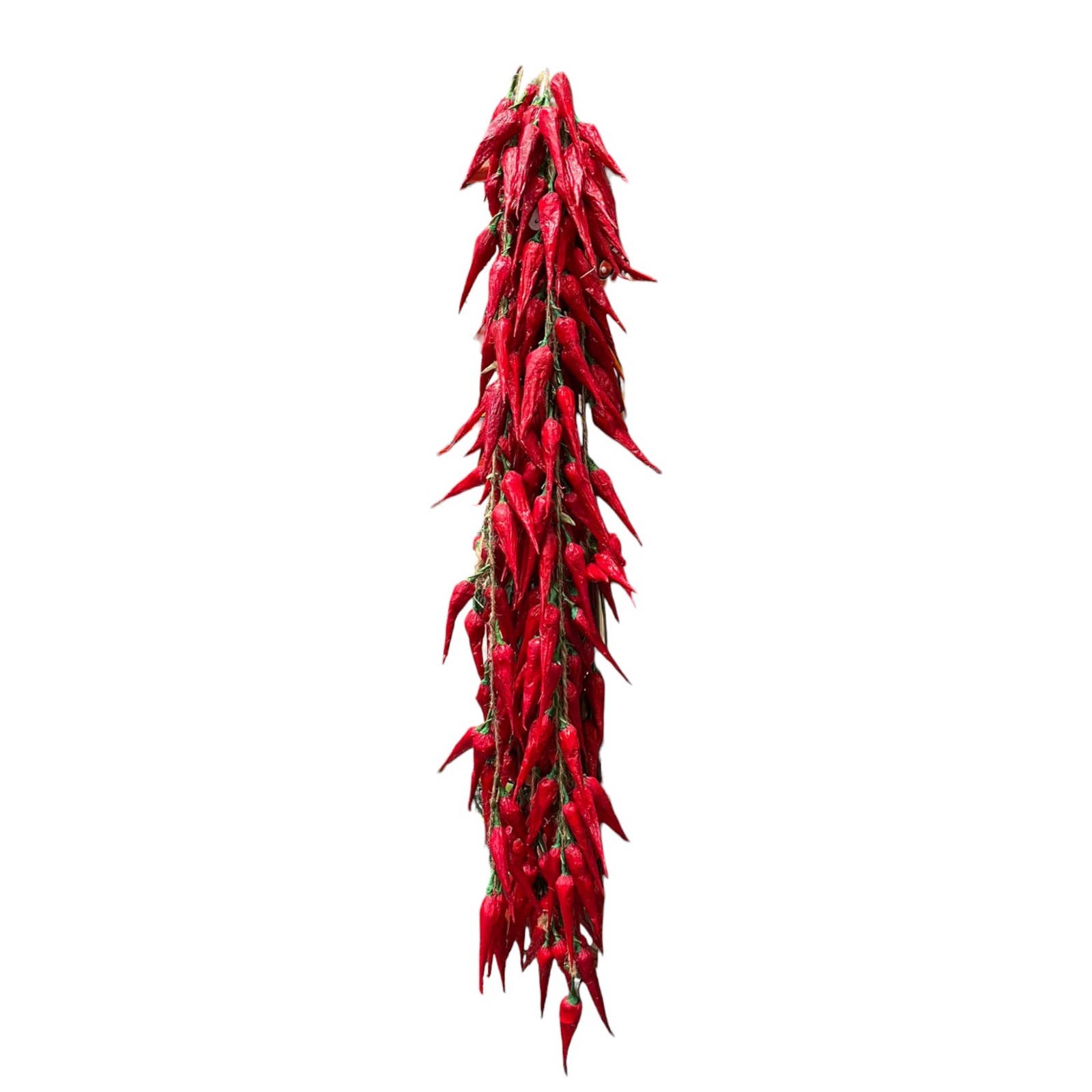 Import Corner - Wholesale Artificial Plant - 41610: CHILE RISTRAS - 30 DRIED CHILI PEPPERS ON JUTE STRING1