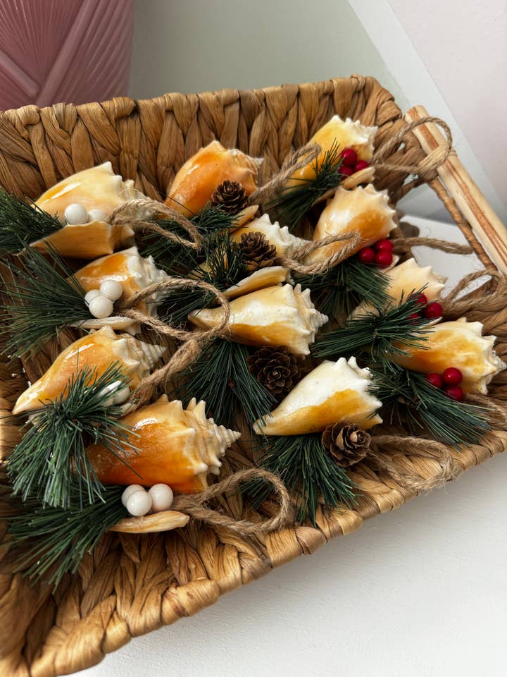 Conch Shell Holiday Ornaments - Green Pine Set of 12 for wholesale by Salty Sea Company