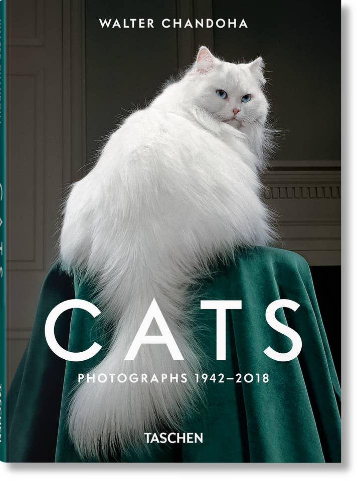 Walter Chandoha. Cats. Photographs 1942–2018 (English) for wholesale by TASCHEN America