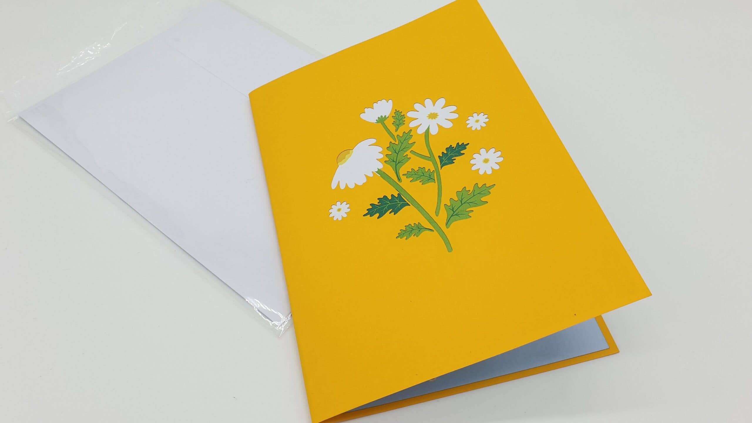 Papier Paradies - Wholesale Everyday Greeting Card - 3D Pop Up Card Daisies Daisy2