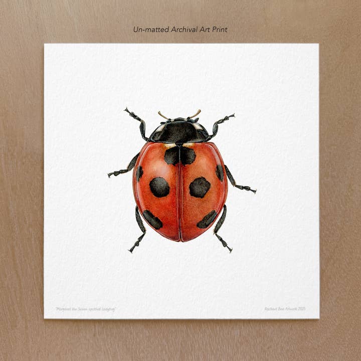 Ladybug Art Print for wholesale by Rachael Bee Artwork
