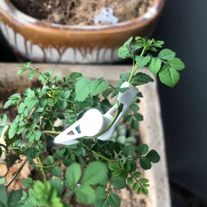 360-Degree Plant Training Clips Low-Stress Training Control for wholesale by Ailly's garden