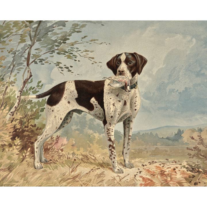 Sea to Skye - Wholesale Art Print - Standing English Pointer Antique Art Print1