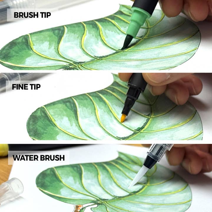 Zieler – wholesale Pen – 18 Brush & Fine Tip Pens with Water brush - 092995593