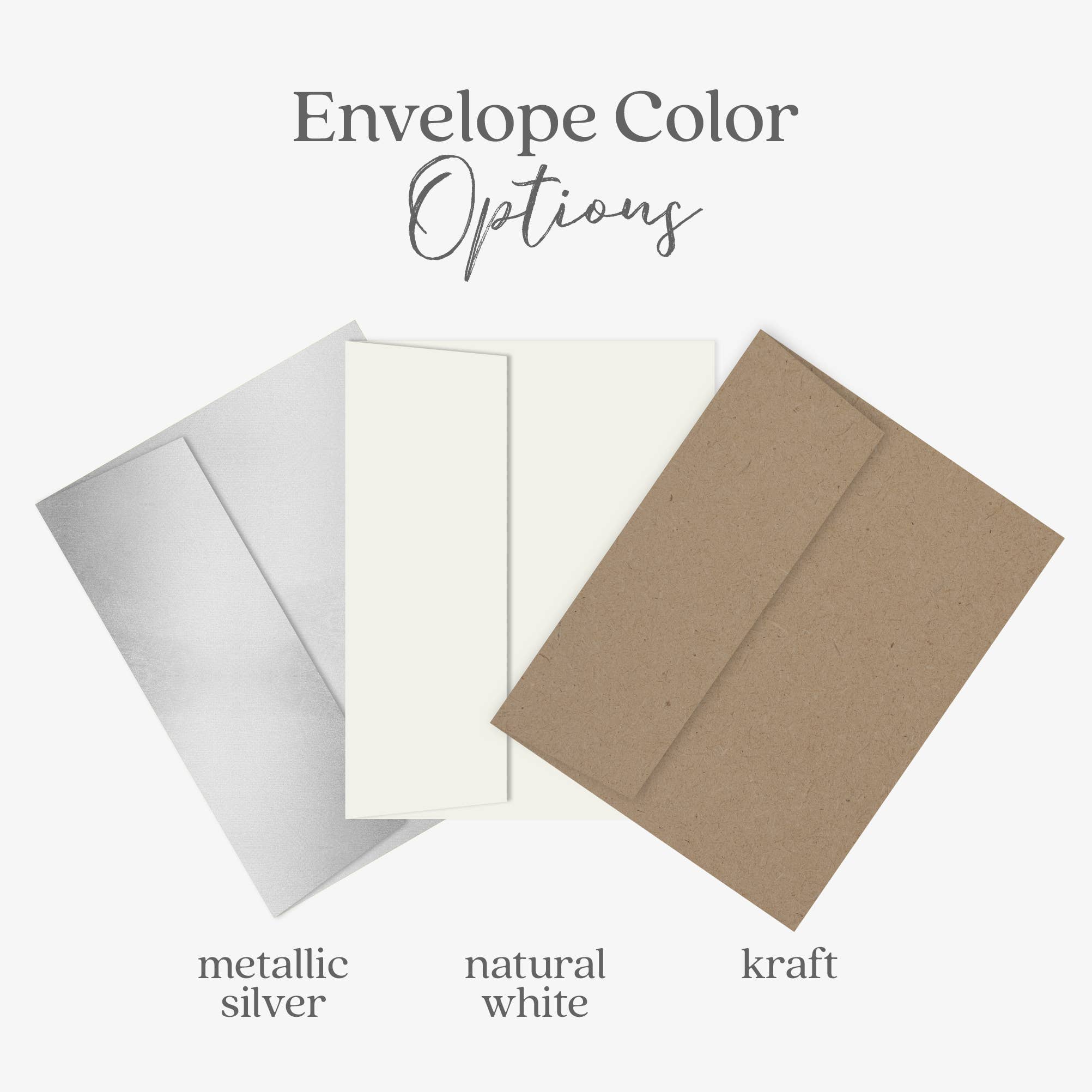 Blue Thistle - Wholesale Birthday Card - Fiancé Birthday Card, Happy Birthday, Eco-Friendly Card4