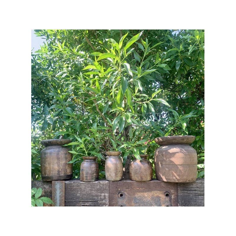 Paloma Black (Casa Natura Design, S.L.) - Wholesale Vase - Small Size Original Wooden Himalayan Storage Vase/Pot2