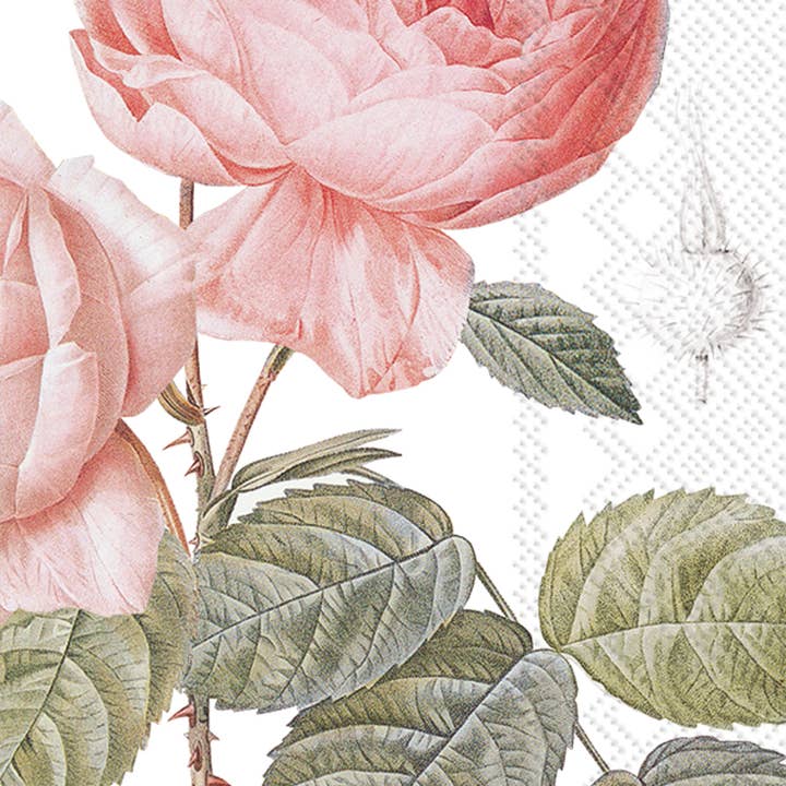 Pocket Tissues Pack of 10 Elisabeth for wholesale by Boston International