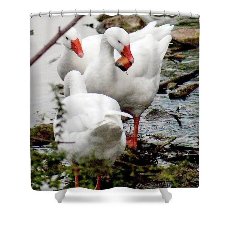 DOUCHEGORDIJN VAN DE GANZEN voor wholesale door sorayadapuzzostore